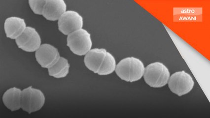 Jepun rekod peningkatan kes sakit tekak 'streptokokus'