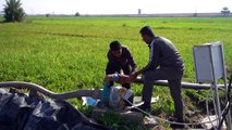 طرق الري الحديثة تنعش أراضي المزارعين في العراق وسط الجفاف