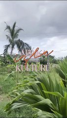 Burayı ziyaret etmek isteyen var mı ? #shorts #travel