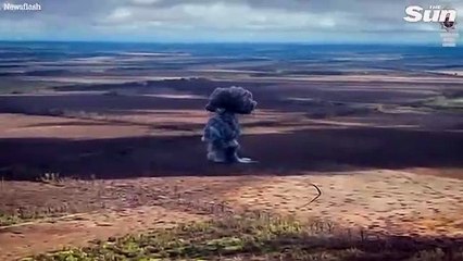 Скачать видео: Las fuerzas especiales ucranianas eliminan tanques rusos en bombardeos aéreos sobre Donetsk