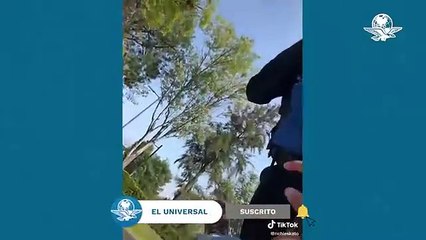 Download Video: Exhiben a policía agrediendo a joven que patinaba en Chapultepec