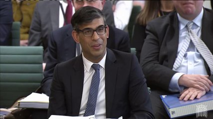 Rishi Sunak's answer to Liz Truss' 'Deep State' remarks