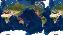 M6.4 CHILE / DEBEMOS PREPARARNOS APARECIÓ OTRO ANIMAL DE LAS PROFUNDIDADES