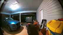 Oso negro intenta abrir las puertas de su casa en Carolina del Norte