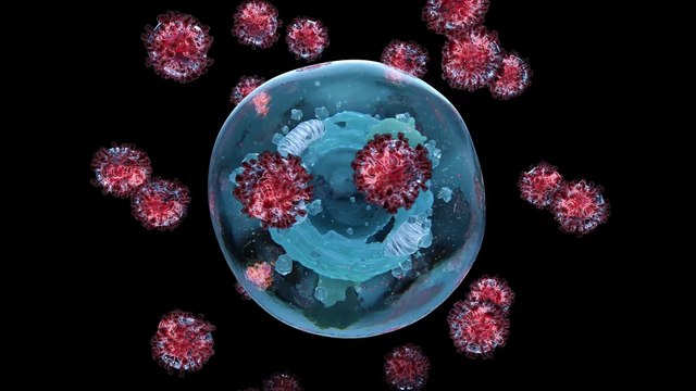 Una nuova pandemia? Andreoni: Probabile ma non sappiamo quando e quanto sarà grave