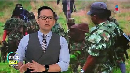 Download Video: 5 disidentes dados de baja de las Fuerzas Armadas Revolucionarias de Colombia