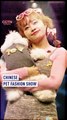 Shanghai's pet lovers unite for a paw-some event