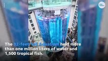 La pecera AquaDom de Berlín revienta, el acuario derrama agua, peces tropicales