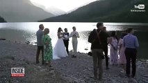 Oso pardo mata a un alce durante la boda de una pareja