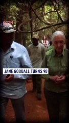 Jane Goodall turns 90