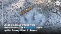 Huellas de dinosaurios reveladas por la sequía de Texas