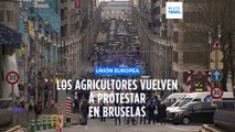 Los agricultores vuelven a manifestarse en Bruselas a pesar de las concesiones
