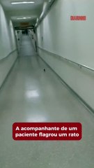 Vídeo flagra rato correndo pela recepção do Marieta