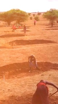 Abonne-toi pour suivre d’autres solutions positives ! @theimpactstory Source : justdiggit #ecologie #environnement #arbres #foret #nature #afrique