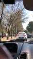 VIDEO: Captan a ladrón en pleno asalto a automovilista en Avenida Conscripto, en Naucalpan