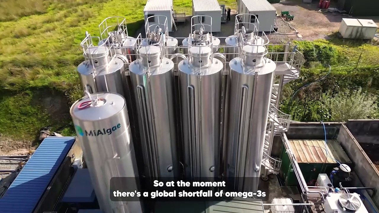 MiAlgae biotech firm