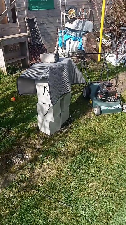 Armed Terrier Terrorizes Garden