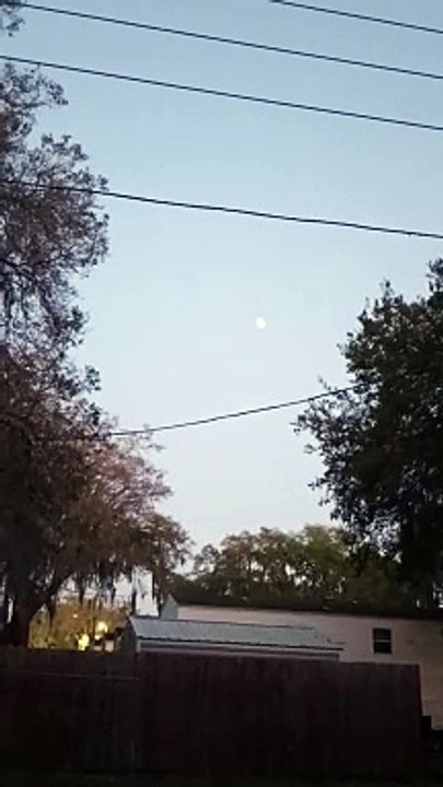 Something in the Sky in Zephyrhills, Florida