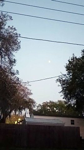 Something in the Sky in Zephyrhills, Florida