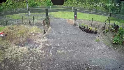 Une route très glissante