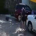 Dos perros agresivos atacan hasta la muerte a otro más pequeño en calles de Cuernavaca