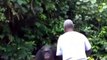 Chimpancés abrazan a sus cuidadores en la Isla de los Chimpancés en Liberia