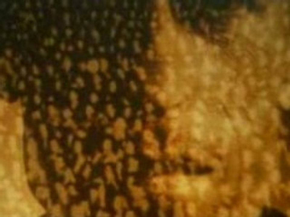 Clip_1984 (Georges Orwell) - fr[(000362)20-00-16]