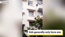 Abuelita cuelga a su nieto de un quinto piso para rescatar al gato.