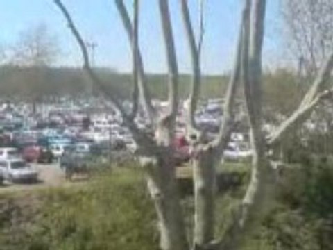 garorock marmande 2008