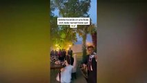 #CUTE: ¡Todo un honor! Lomito es testigo en boda y enamora en TikTok: “el más guapetón de todos”