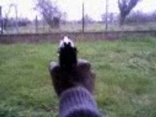 US M9 IA Noir - Version Métal - 1