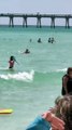 Tiburon en playas asusta a turistas salen con panico de la playa