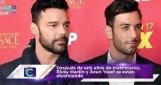Ricky Martin y Jwan Yosef SE DIVORCIAN después de seis años de MATRIMONIO y dos hijos en común