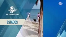 #VIDEO: Turista con rifle asusta a vacacionistas en playas de Yucatán