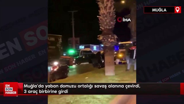 Muğla’da yaban domuzu ortalığı savaş alanına çevirdi, 3 araç birbirine girdi