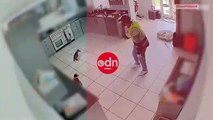 Ladron entra a casa solo ara robar a perro