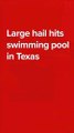 Granizo en una piscina de Texas vaca escapando