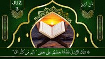 الجزء ثلاثة || الجزء ٣||الجزء تِلْكَ ٱلرُّسُلُ || تِلْكَ ٱلرُّسُلُ || PARA 3 || sopara 3|| emotional Quran recitation