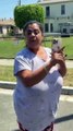Mujer mexicana corre a tamalero en Estados Unidos por ¡hacer mucho ruido!