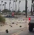 Hilary llega como tormenta tropical a California y y cuso estos desastres