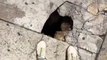 #OMG: NY se cae a pedazos. Un hombre encuentra un agujero en medio de la calle y ENCUENTRA ALGO QUE NO IMAGINARIAS