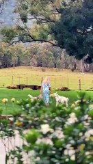 41 Gills Lane, Brunkerville - The Newcastle Herald - March 27, 2024