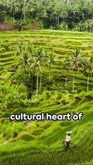 Bali: Top 5 Must-Visit Spots