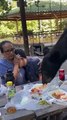 #OMG: Oso se comió los tacos y enchiladas de una familia en el parque Chipinque enNuevo León