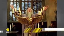 Hasta siempre Albus Dumbledore