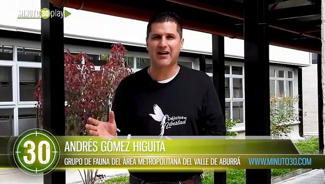 239 animales atendidos este año por tráfico ilegal de fauna silvestre