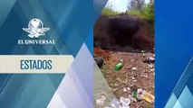 Madres buscadoras encuentran horno clandestino en Jalisco