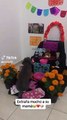 #CUTE: Perrito llora a su mamá en altar de muertos