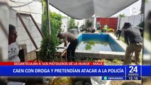 Peligrosa banda “los pistoleros de la huaca” fueron detenidos con droga y un machete