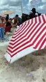 Ola gigante sorprende a turistas en playas de Brasil